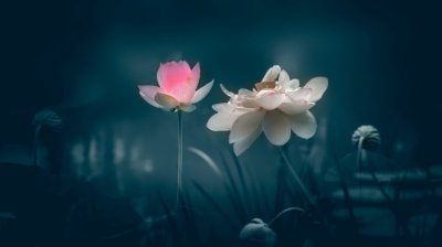 ​2023早上吸引朋友圈的句子 早上点赞率最高的说说2023