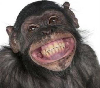 ​发朋友圈不矫情的句子 不虚伪不矫情不做作的句子