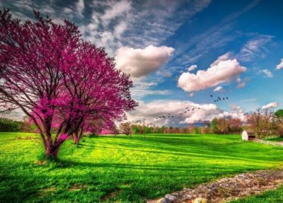 ​梦里梦见你的句子经典