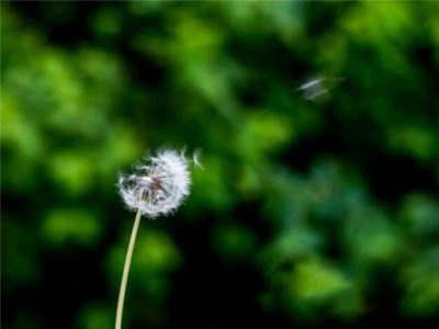 ​刚起床发朋友圈的句子 适合早晨发的干净句子