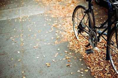 ​赞美女人的话80句