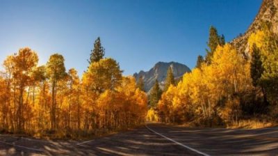 ​三国人物歇后语造句(三国歇后语大全100条)