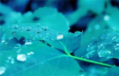 ​小学五年级班训八字 班训大全8个字押韵(32条)