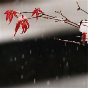 ​写武大郎开店的文章(武大郎敲鼓歇后语)