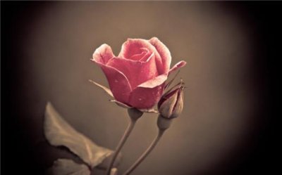 ​微信朋友圈签名怎么改