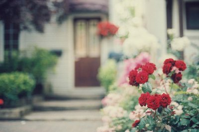 ​最新超搞笑的笑话84句