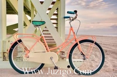 ​春夏秋冬成语大全79句