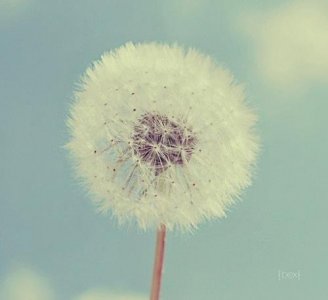 ​12月励志早安心语