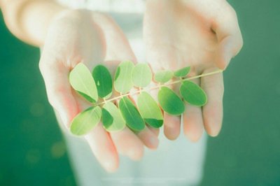 ​蔬菜谚语有哪些65句