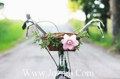 ​简短的谚语85句