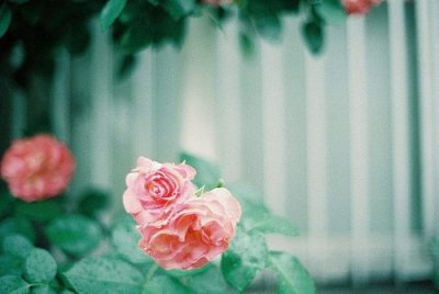 ​2023年跨年的作文素材(精选44句)