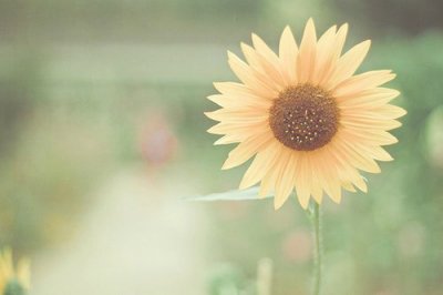 ​女生性签名幸福84句