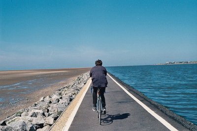 ​贱逼性签名87句