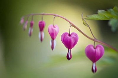 ​金融界的话语88句