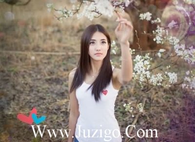 ​规则的谚语85句