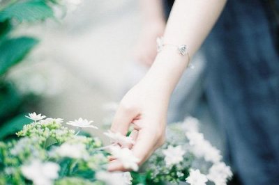 ​蔬菜的谚语83句