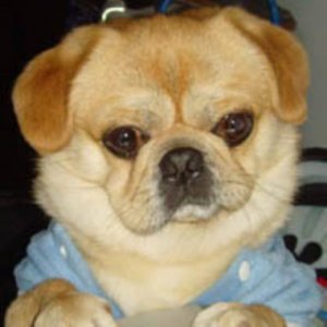 ​最美晚安心语哲理说说(每天一句简单晚安)