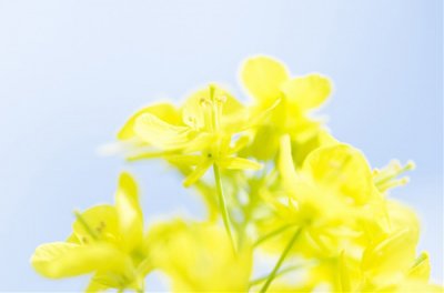 ​关于西游记人物的歇后语82句