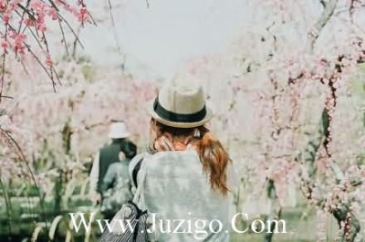 ​关于种地的谚语75句