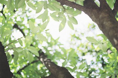 ​引狼入室的歇后语23句