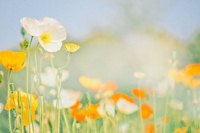 ​笔尖上蘸石灰歇后语32句