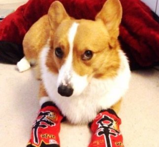 ​朋友发表从新开始生活（结婚纪念日朋友圈说说）