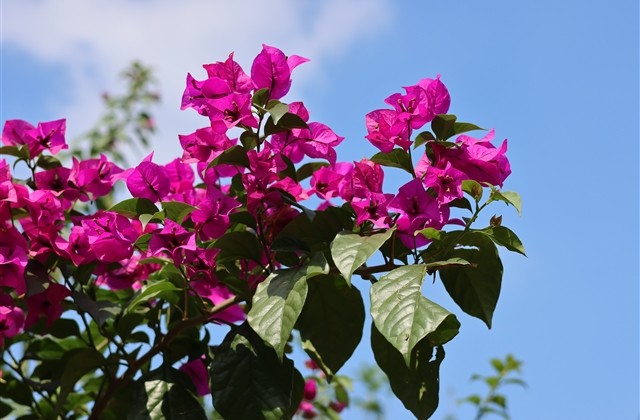 文艺的游戏名字 文艺的游戏名字