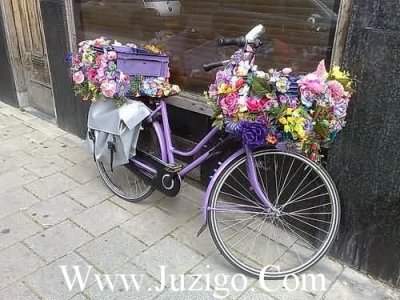 ​流了泪之后，死性不改，以为坚持了就是永远