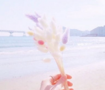 ​学习名言警句