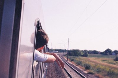 ​动物气象谚语大全91句