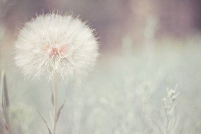 ​写星空的比喻句12句