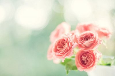 ​分手挽留的最感动的话83句