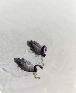 ​有关爱情的美好句子(爱情美满的句子唯美短句)