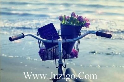 ​比喻句5年级20句