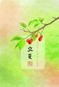 ​女人美丽励志语录经典大全