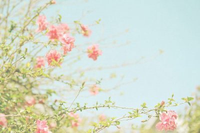 ​爱情友情的优美句子97句