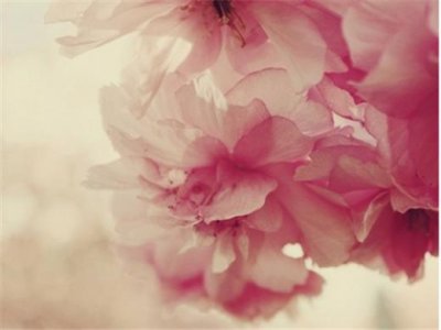 ​自己生日朋友圈说说 发朋友圈自黑的说说