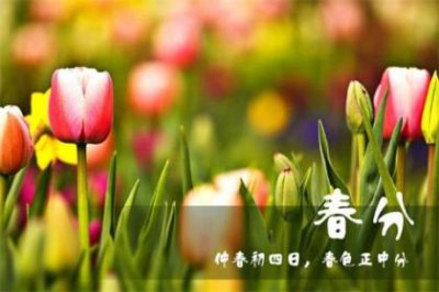 ​安慰朋友被朋友冷落的句子