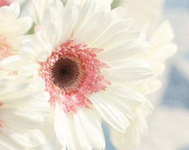 ​夏天来了补充句子