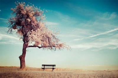 ​职场正能量句子