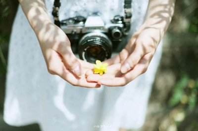 ​2024必备高考加油励志语录简短_高三学生励志标语大全