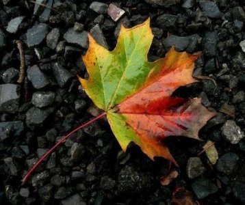 ​描写下雪凄凉的句子 描写黄昏的句子唯美较短