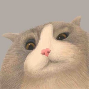 ​唯美经典的句子