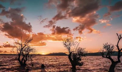 ​感谢公司福利的话简短（感谢老板发福利精辟句子）