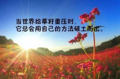 ​2024早安最火短句（精选好句30条）