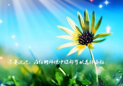 ​最近工作很累的说说 朋友圈工作累了的说说