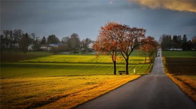 ​关于保护环境的句子还有词语