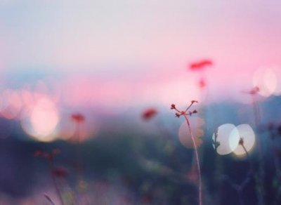 ​抒情文年末感慨的唯美句子