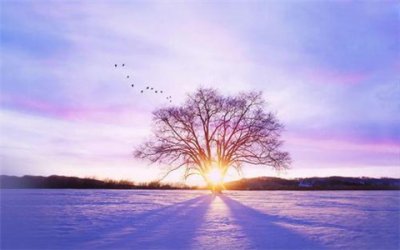 ​男人好难的经典句子