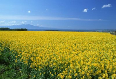 ​天空很美的短句